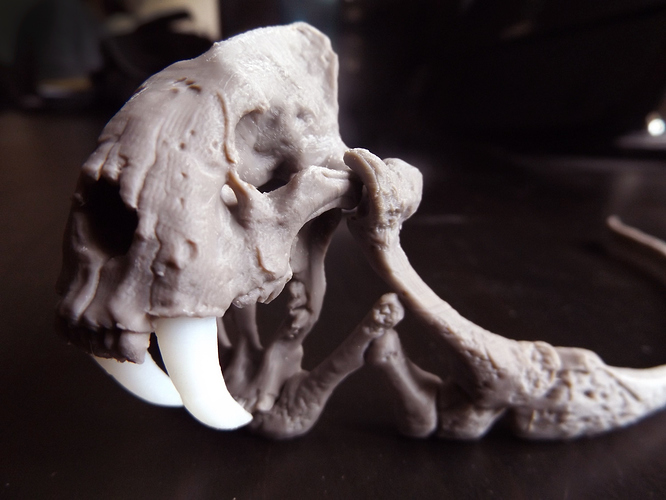 Tiara close detail.jpg