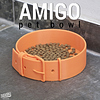 amigo pet bowl copy.jpg