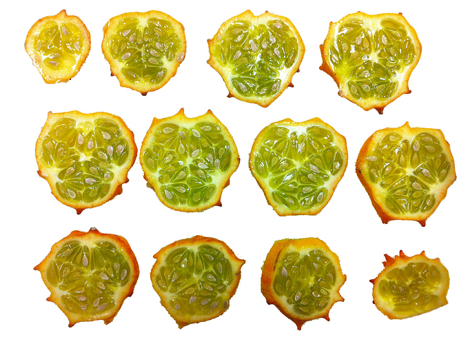 kiwano section_cut color.jpg