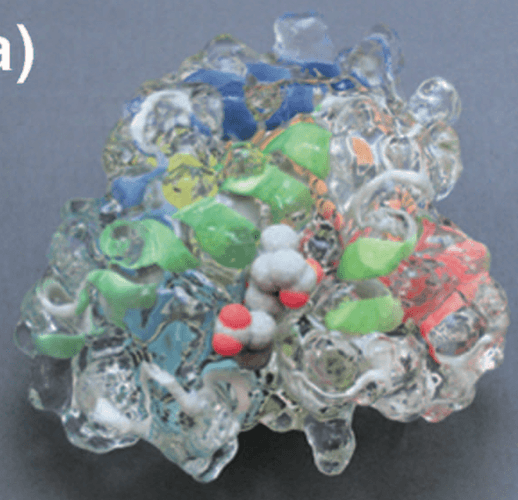 myoglobin Kawakami model_0.png