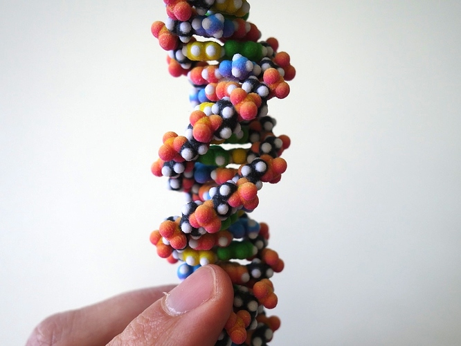 photo 3D model DNA small.jpg