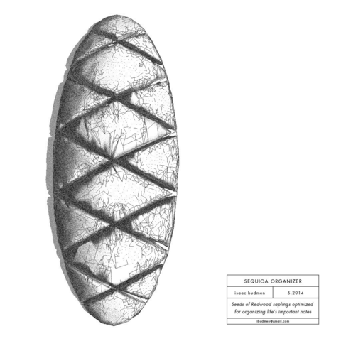 large_sequioa-org-render2 copy.jpg