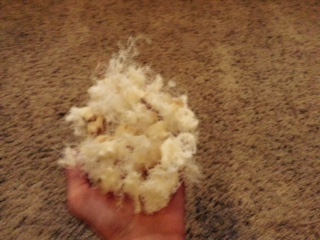 FullSizeRender (3).jpg